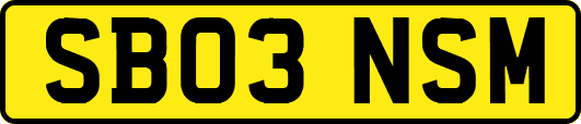 SB03NSM