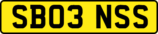 SB03NSS