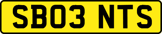 SB03NTS