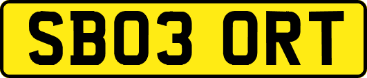 SB03ORT
