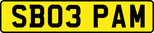 SB03PAM