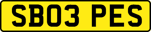 SB03PES