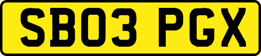 SB03PGX