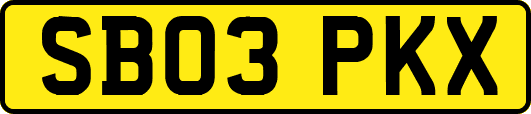 SB03PKX