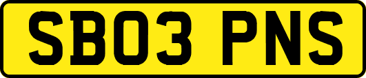 SB03PNS