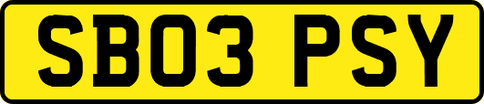 SB03PSY