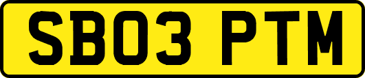 SB03PTM