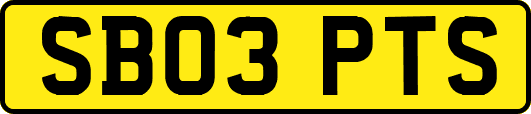 SB03PTS