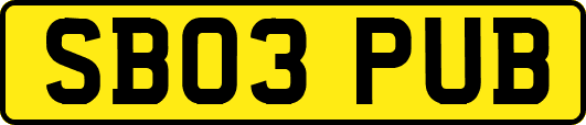 SB03PUB