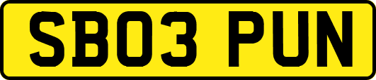 SB03PUN