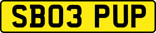 SB03PUP