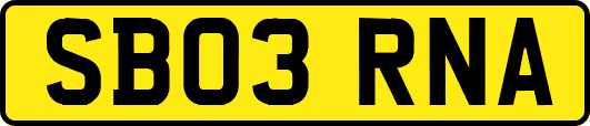 SB03RNA
