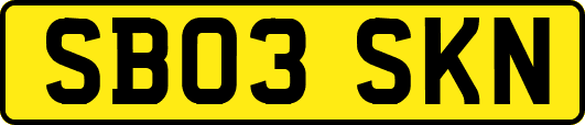 SB03SKN