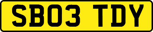 SB03TDY