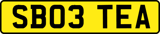SB03TEA