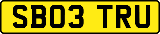 SB03TRU