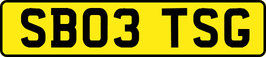 SB03TSG