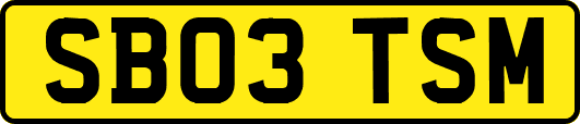 SB03TSM