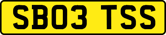 SB03TSS