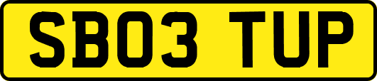 SB03TUP