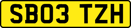 SB03TZH