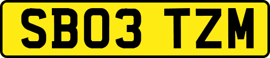 SB03TZM