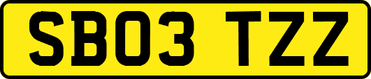 SB03TZZ
