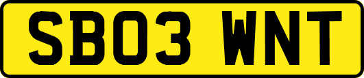 SB03WNT