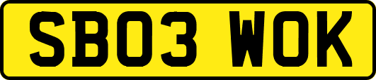 SB03WOK