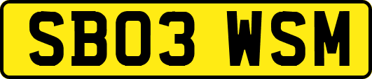SB03WSM