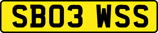 SB03WSS