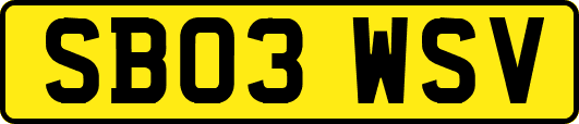 SB03WSV