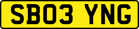 SB03YNG