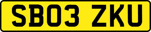 SB03ZKU