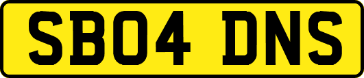 SB04DNS