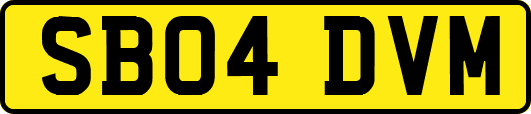 SB04DVM