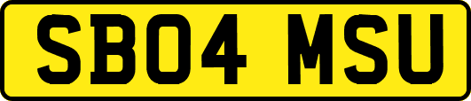 SB04MSU