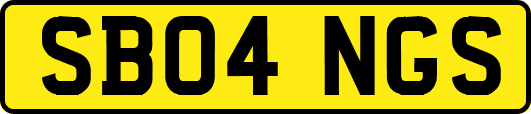 SB04NGS