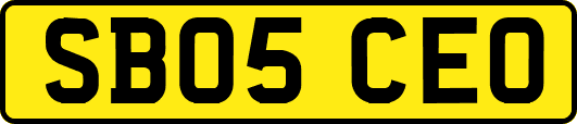 SB05CEO