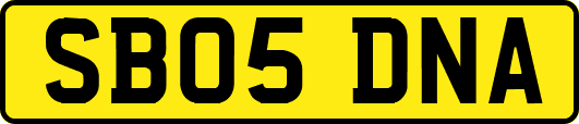 SB05DNA