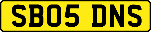 SB05DNS