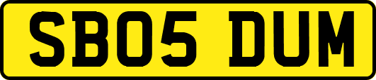 SB05DUM