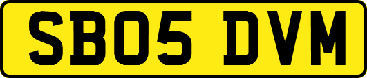 SB05DVM
