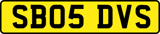 SB05DVS