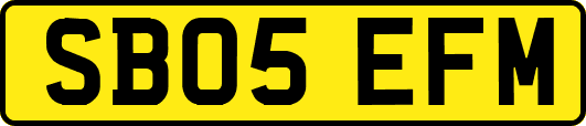 SB05EFM