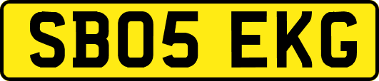 SB05EKG