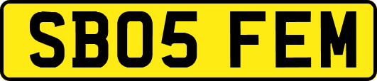 SB05FEM