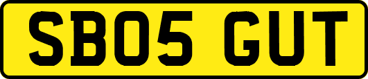SB05GUT