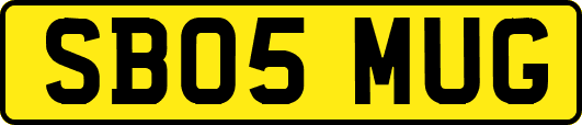SB05MUG