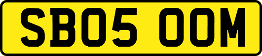 SB05OOM